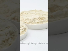 ভিটাল হুইট গ্লুটেন, হুইট গ্লুটেন, গ্লুটেন